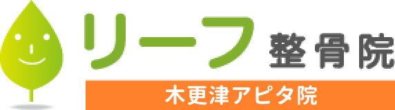 リーフ鍼灸整骨院 木更津アピタ院